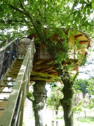 Escalier d'accès à la cabane